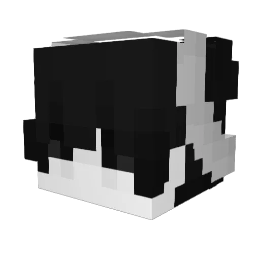 BL_Hayven Minecraft avatar head, 3D render
