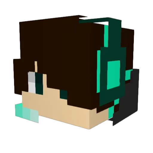 BLin15 Minecraft avatar head, 3D render