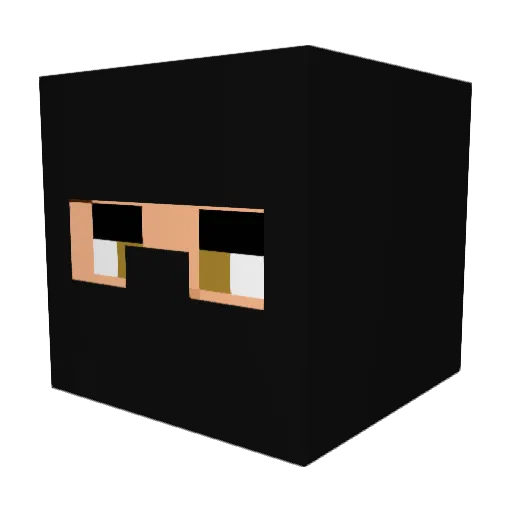 BMK_Bund Minecraft avatar head, 3D render
