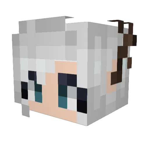 BMMS4kids Minecraft avatar head, 3D render