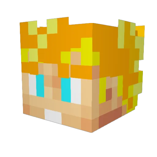 BMWMPOWER Minecraft avatar head, 3D render