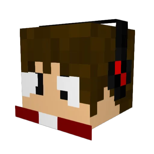BMXDIEGO Minecraft avatar head, 3D render