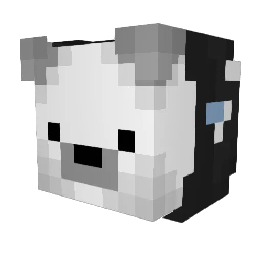 BMXIsAwesome14 Minecraft avatar head, 3D render