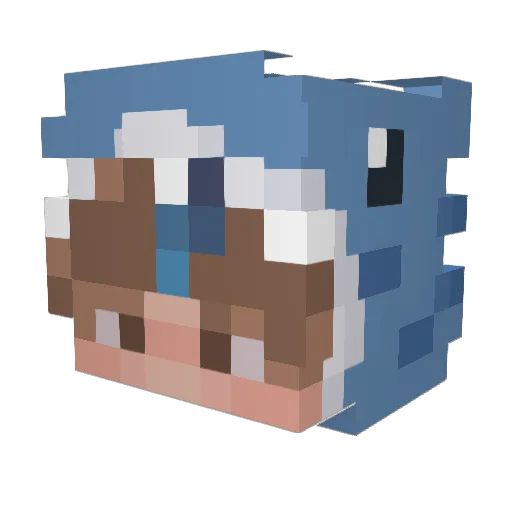 BMsann_ws Minecraft avatar head, 3D render