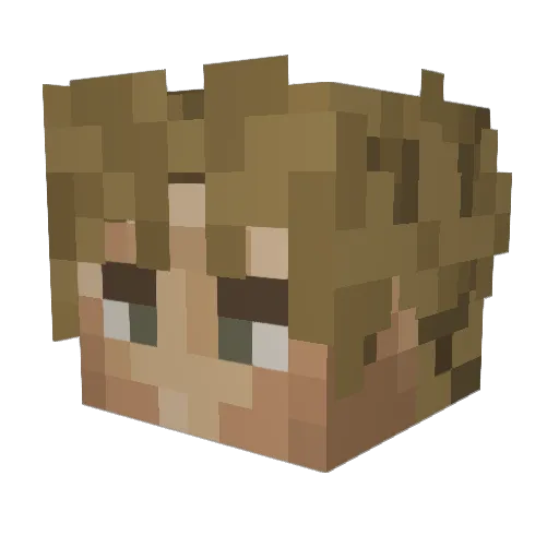 BOBBING_TOAD Minecraft avatar head, 3D render