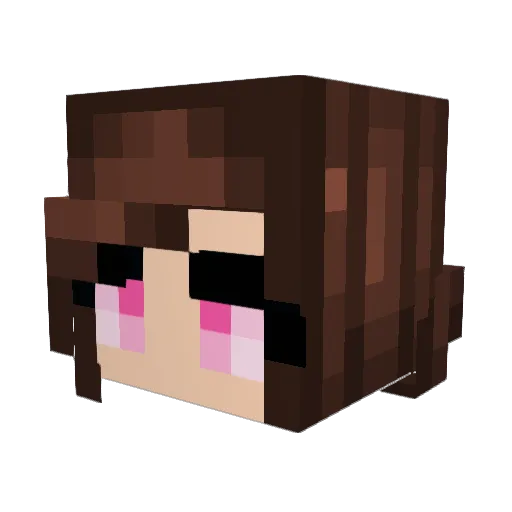 BOBBYZONE Minecraft avatar head, 3D render