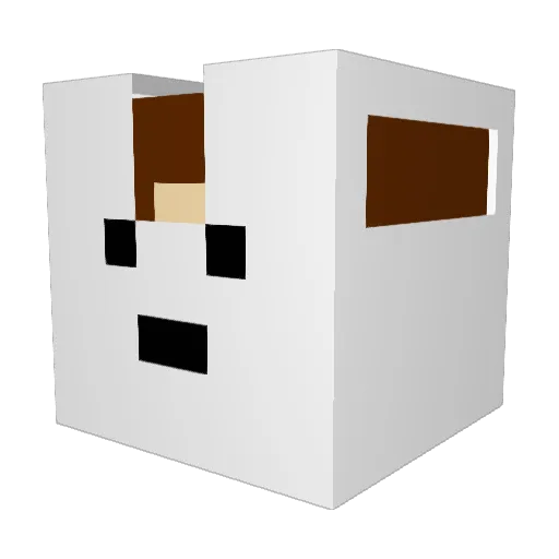 BOBCHICKENJEFFR Minecraft avatar head, 3D render
