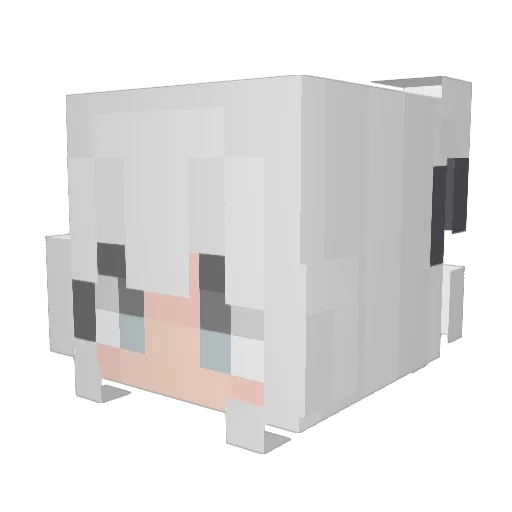 BOGDAN228 Minecraft avatar head, 3D render