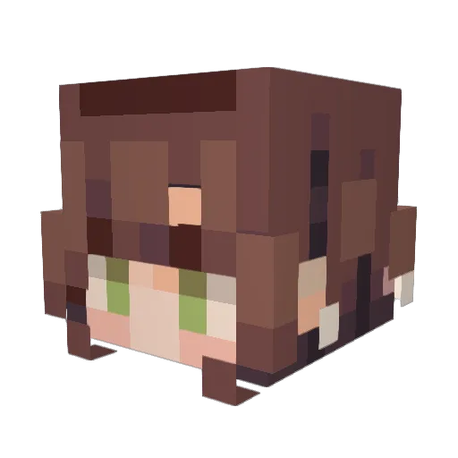 BOGULBOGUL Minecraft avatar head, 3D render