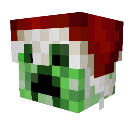 BOJANGLE55555 Minecraft avatar head, 3D render