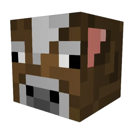 BOKERONYBOKEE Minecraft avatar head, 3D render