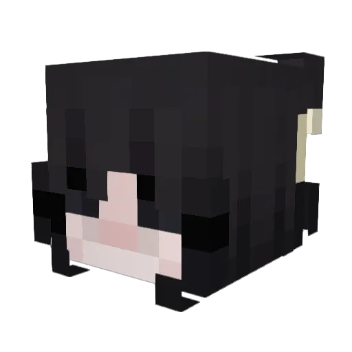 BOMBPLANTER Minecraft avatar head, 3D render