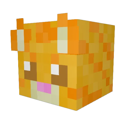 BOMPPP Minecraft avatar head, 3D render
