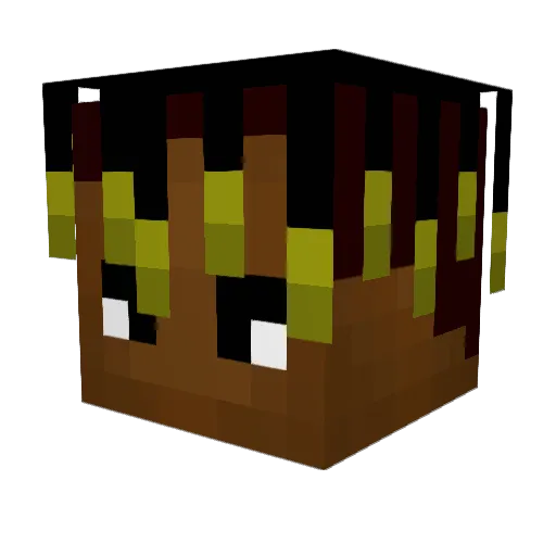 BONDIOLAAAA Minecraft avatar head, 3D render