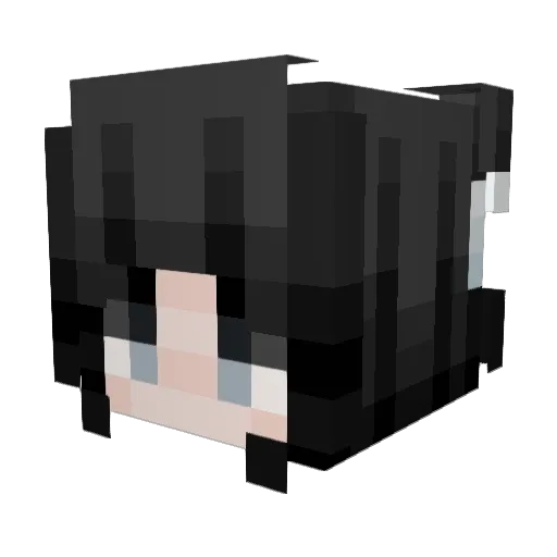BONGWATER3 Minecraft avatar head, 3D render