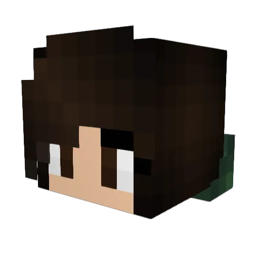 BONIBON Minecraft avatar head, 3D render