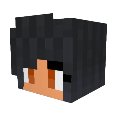 BONINI Minecraft avatar head, 3D render