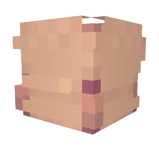BOOGH0STS Minecraft avatar head, 3D render