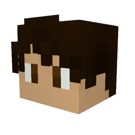 BOOKLOVER9035 Minecraft avatar head, 3D render
