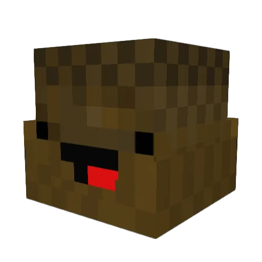 BOOMBACCABOY Minecraft avatar head, 3D render