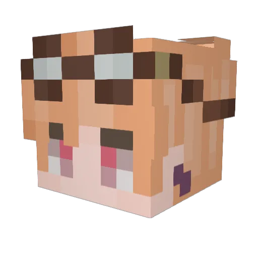 BOOMBAYAHHHHH Minecraft avatar head, 3D render