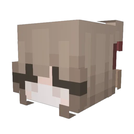 BOOPAHOOPAHH Minecraft avatar head, 3D render