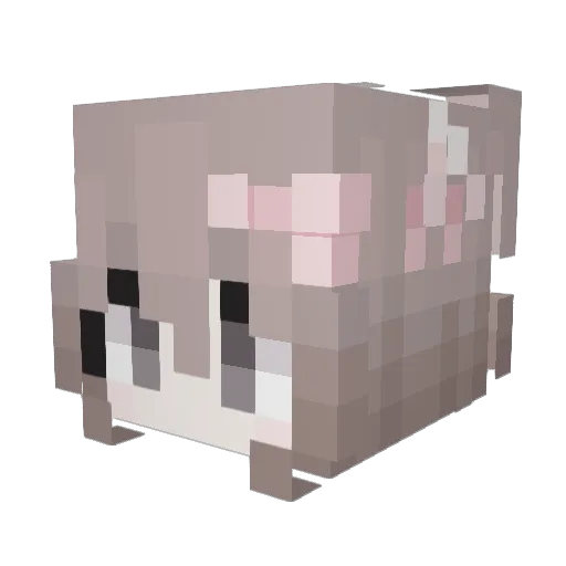 BORRELWORSTJE Minecraft avatar head, 3D render