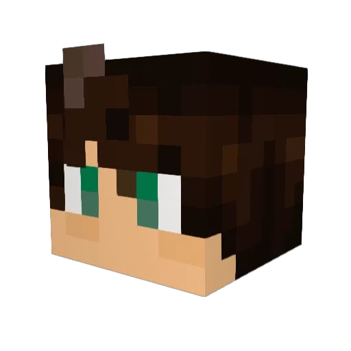BOSS_FINEST_21 Minecraft avatar head, 3D render