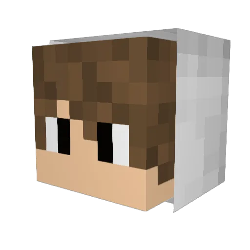 BOSSxADIDAS Minecraft avatar head, 3D render