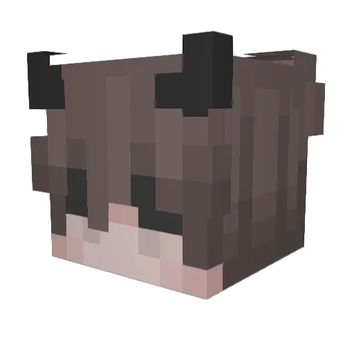 BOTOON Minecraft avatar head, 3D render