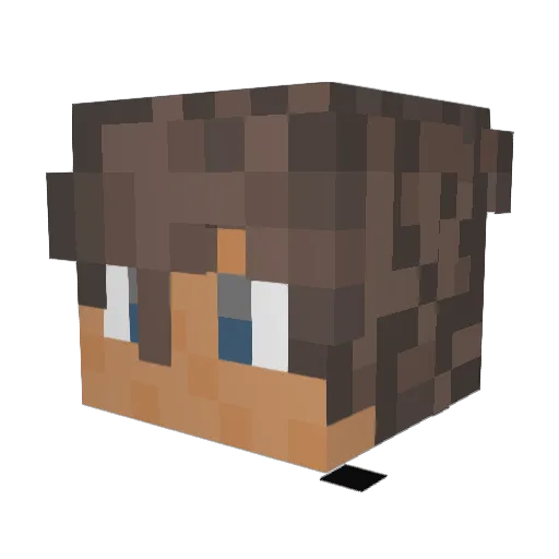 BOT_CB1_Ankauf Minecraft avatar head, 3D render