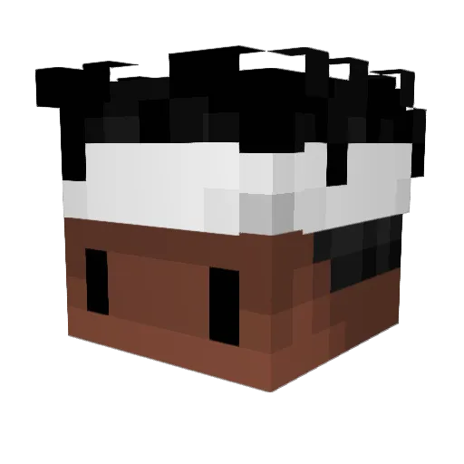 BOTthin Minecraft avatar head, 3D render