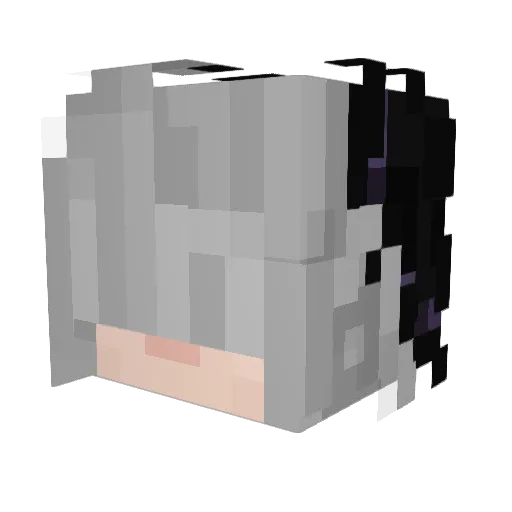 BOTxKiska_ Minecraft avatar head, 3D render