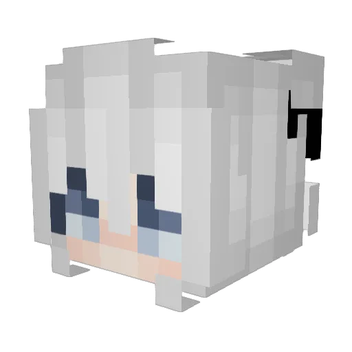 BOUNC1NG Minecraft avatar head, 3D render
