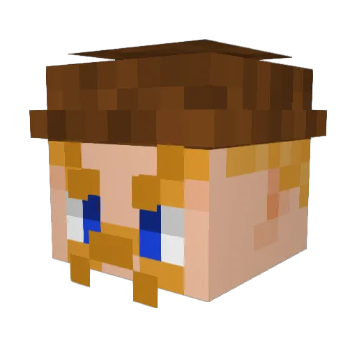 BOWHAMMER1115 Minecraft avatar head, 3D render