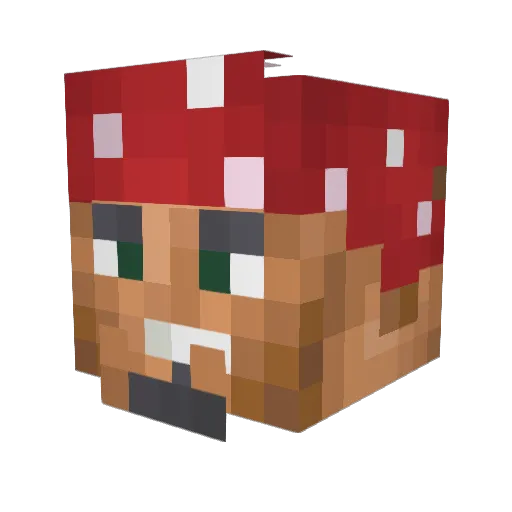 BOYSGJ Minecraft avatar head, 3D render