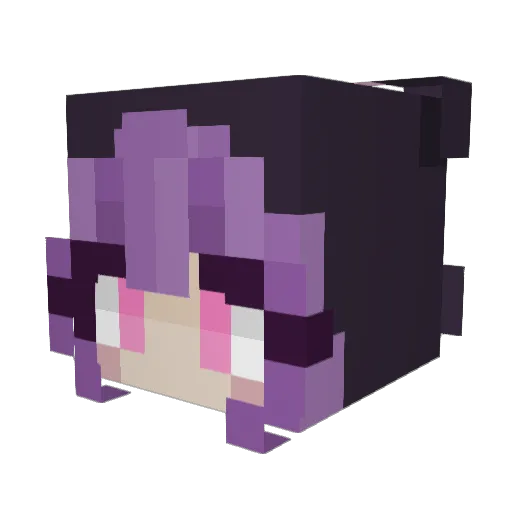 BOY_SCOUT1234 Minecraft avatar head, 3D render
