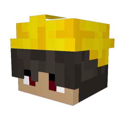 BPG_TN Minecraft avatar head, 3D render