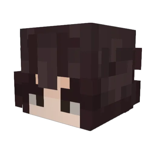 BParethebest Minecraft avatar head, 3D render