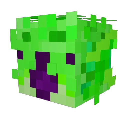 BPoH_camlare Minecraft avatar head, 3D render