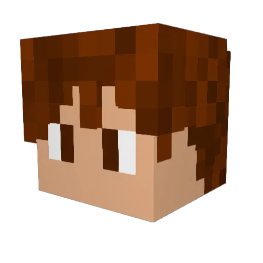 BPro2011 Minecraft avatar head, 3D render