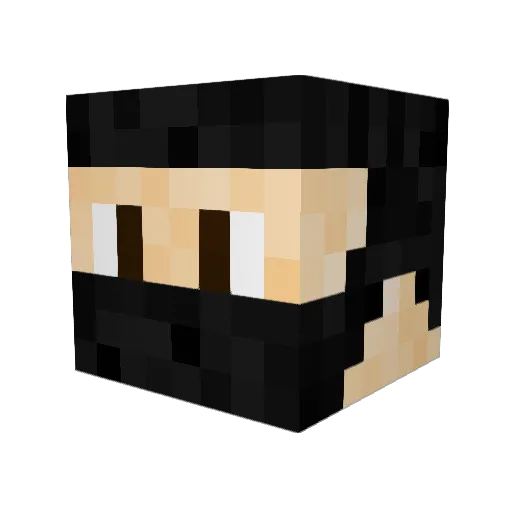BR1777 Minecraft avatar head, 3D render
