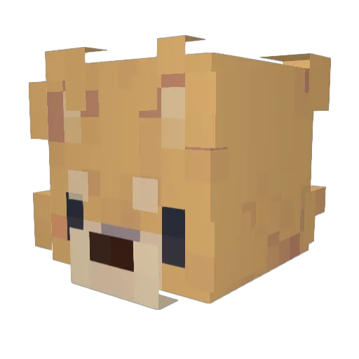 BR1SKK Minecraft avatar head, 3D render