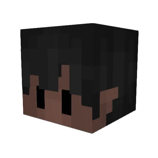 BR3NN0N_ Minecraft avatar head, 3D render