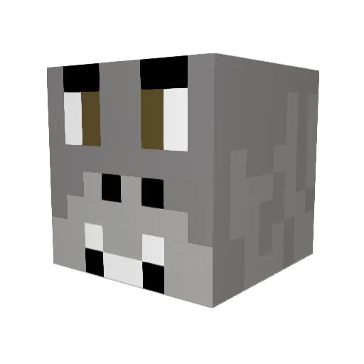 BRABYTR Minecraft avatar head, 3D render