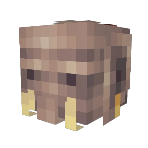 BRADEN356 Minecraft avatar head, 3D render