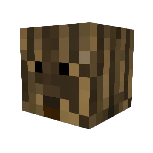 BRADES19 Minecraft avatar head, 3D render