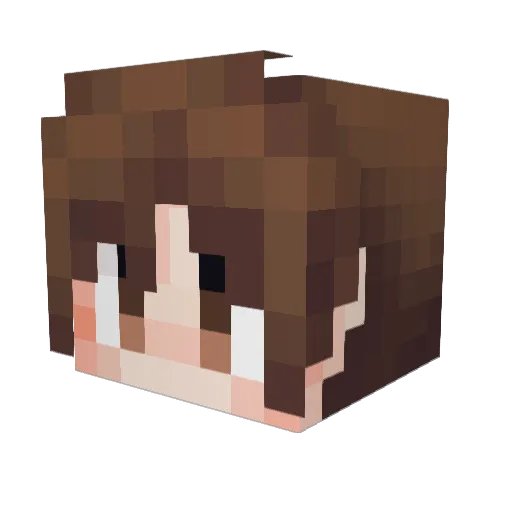 BRAIN_SMASHER Minecraft avatar head, 3D render