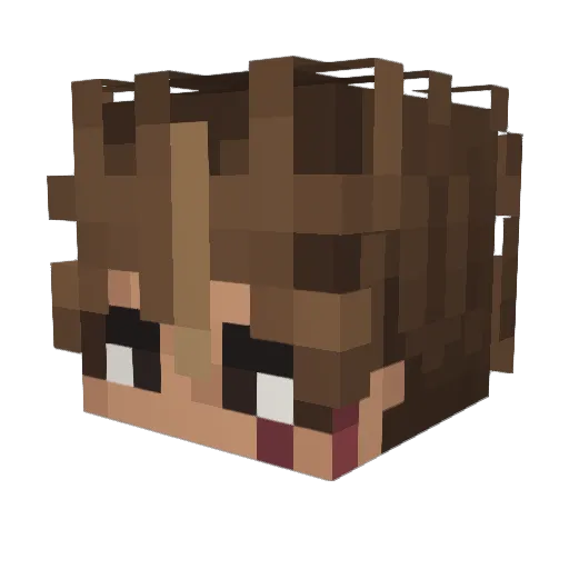BRAJJN Minecraft avatar head, 3D render
