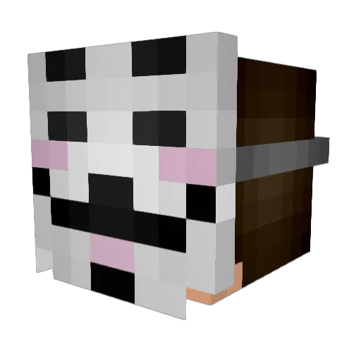 BRAYANguapillo Minecraft avatar head, 3D render